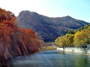 新澳天天开奖资料大全旅游团，天森康宝